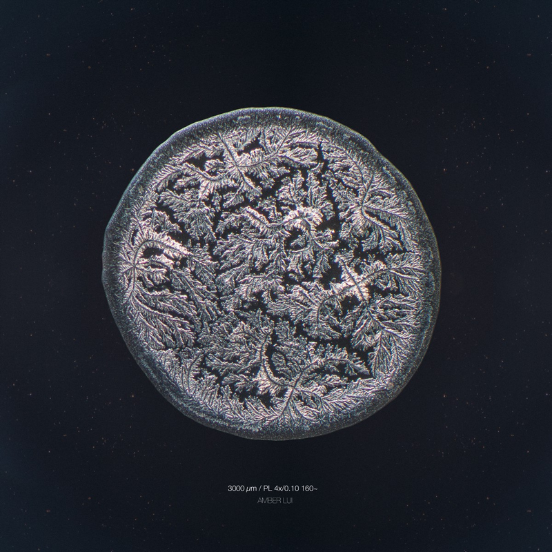 Illustration for article titled The Beautiful Secrets of Tears, Revealed By a Microscope